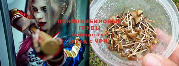 гидра Аркадак